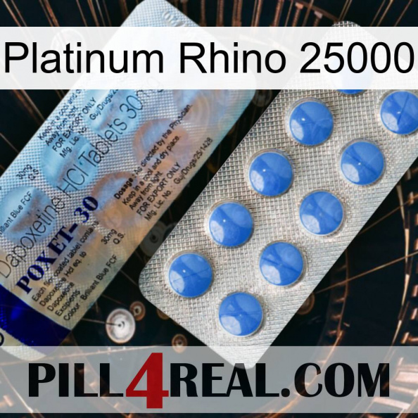 Platinum Rhino 25000 39.jpg